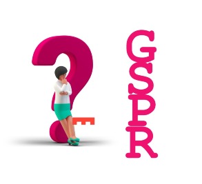GSPR Article 10.4.