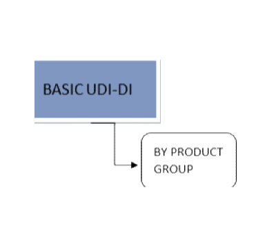 UDI or Basic UDI?