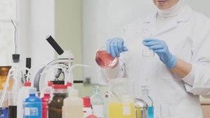 SCHEER 2024 CMR ED Phthalate
