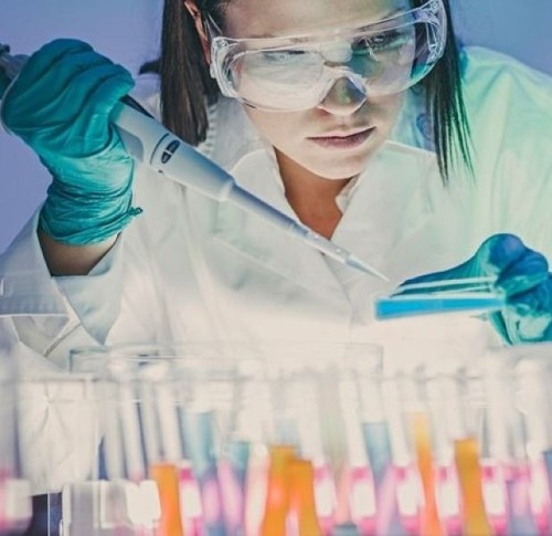 Firma içinde yapılan testler - Ücretsiz SEMİNER