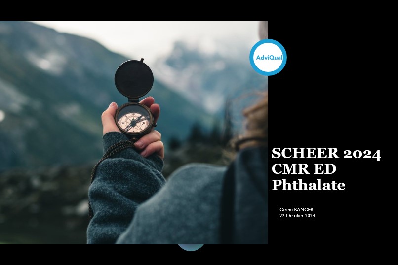 SCHEER 2024 CMR ED Phthalate